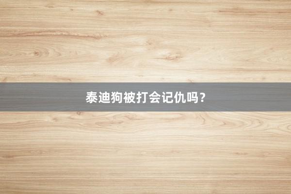 泰迪狗被打会记仇吗?