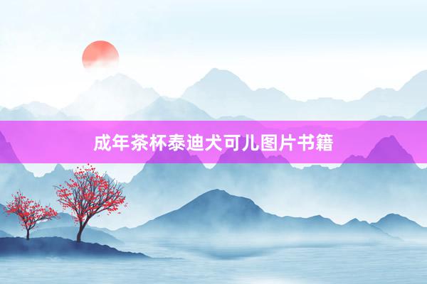 成年茶杯泰迪犬可儿图片书籍